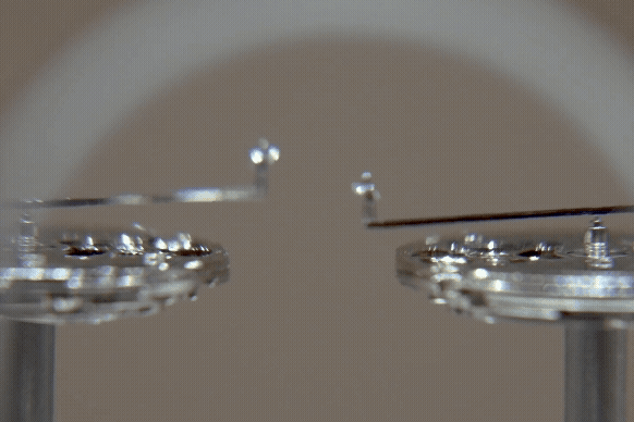 セイコーウオッチ株式会社「時の交わり」