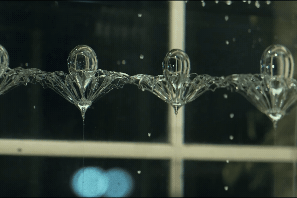 小松宏誠 + 三好賢聖「プワンツ」